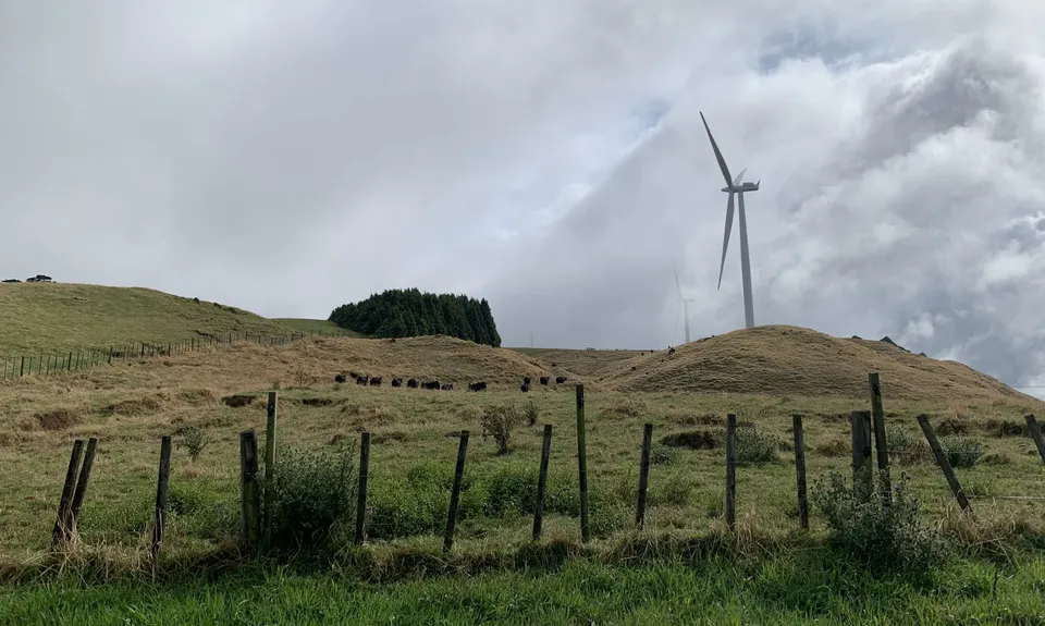 Pipiwharauroa Trail, Waikato