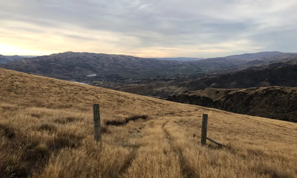 Mt Difficulty Loop, Otago