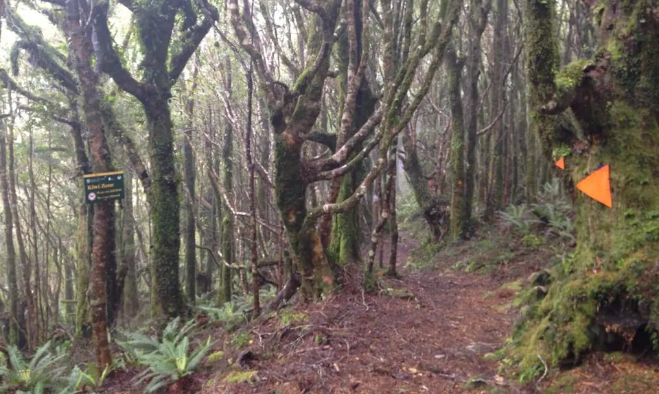Where in the Whakanui?, Wellington