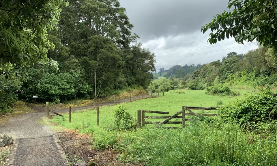 Little Waipa to Arapuni, Waikato