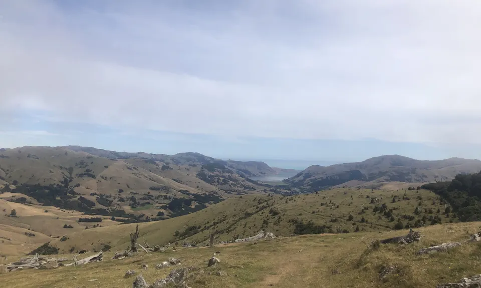 Sweet Sinclair Summit, Canterbury