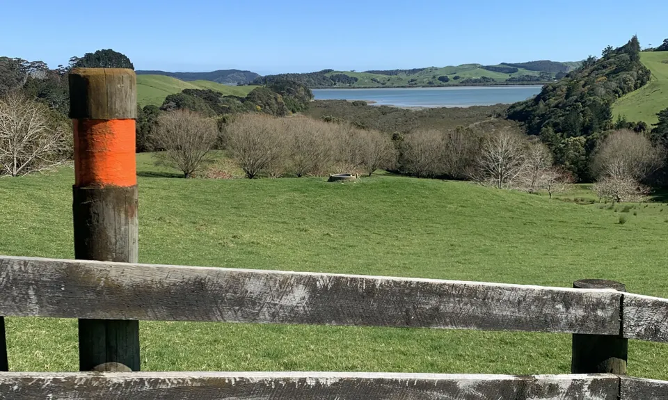 Atiu Creek Runabout., Auckland