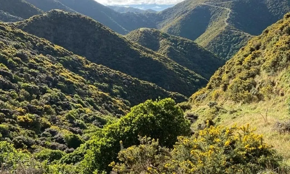 Red Rocks Loop, Wellington