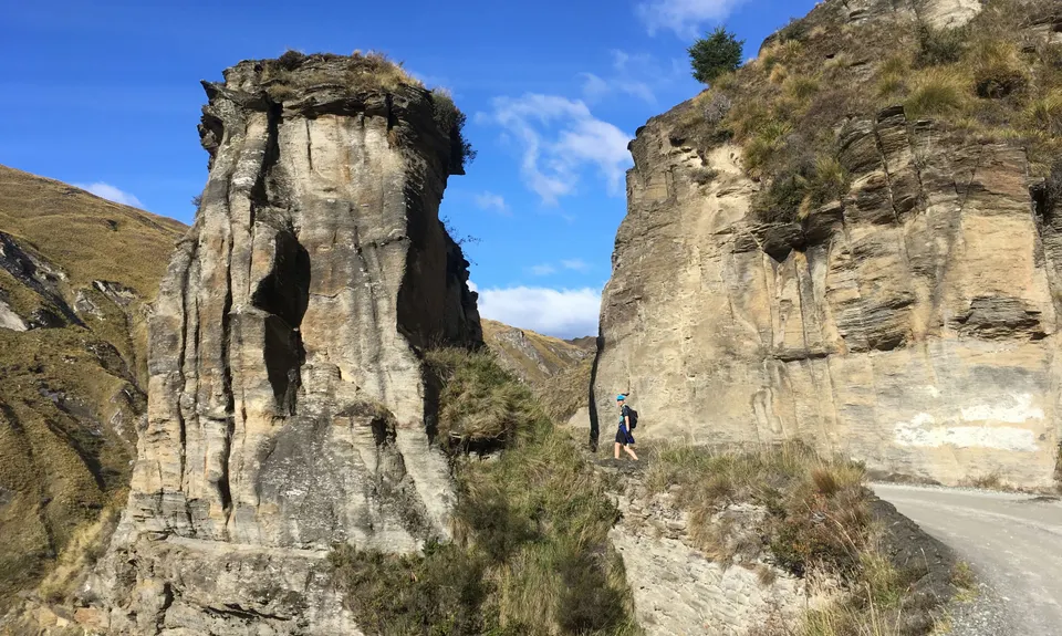 Atley Track, Otago