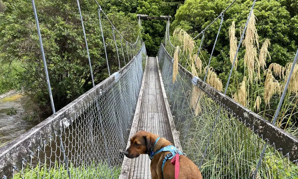 Wainuiomata Recreation Area, Wellington