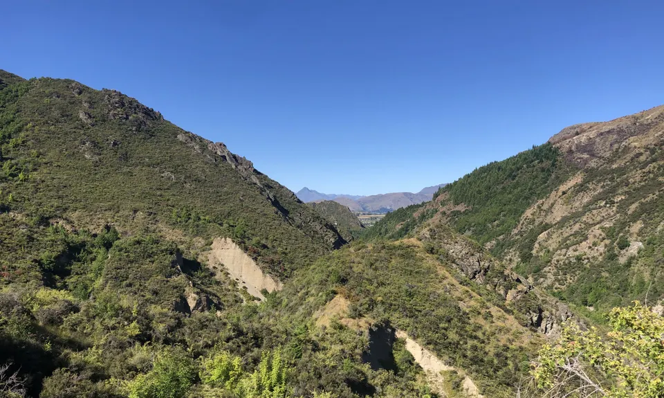 New Chums Loop, Otago