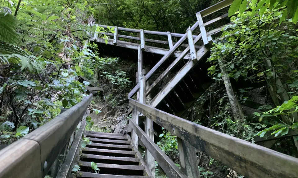 Kaimai Summit to Wairere Falls , Waikato