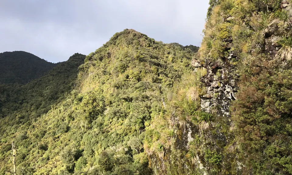 Pirongia Loop of Awesomeness, Waikato