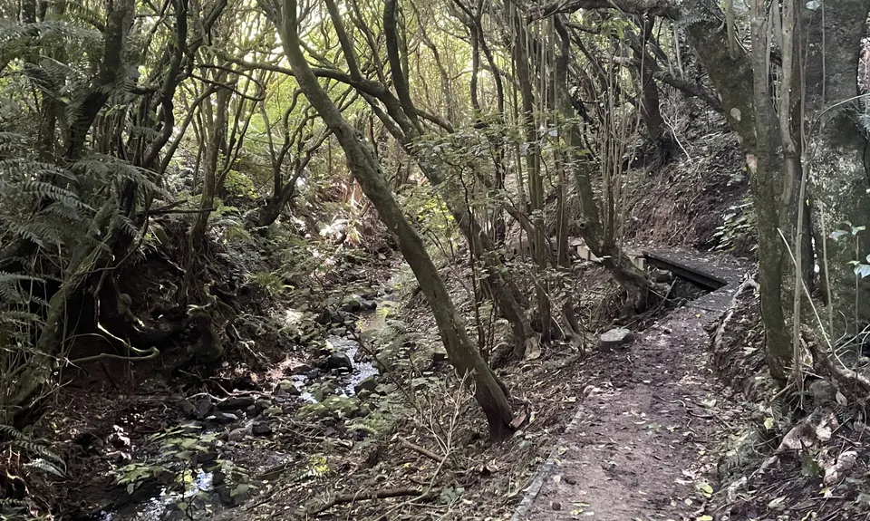 Linking the Reserves, Wellington