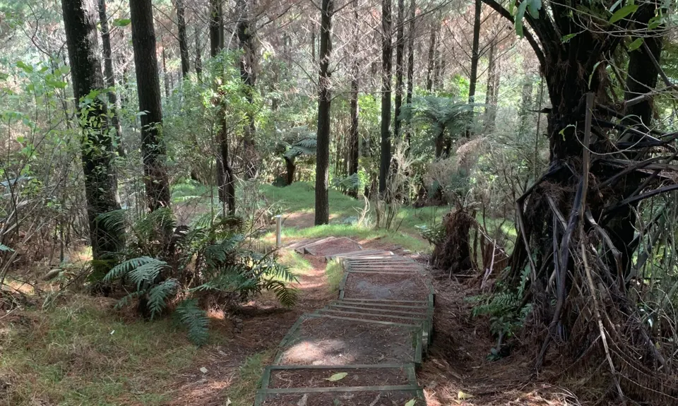 Lake Mangamahoe, Taranaki
