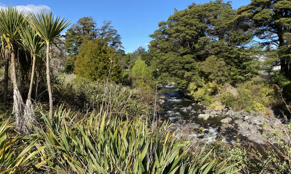 Ohakune Town/Forest Loop, Manawatu - Wanganui