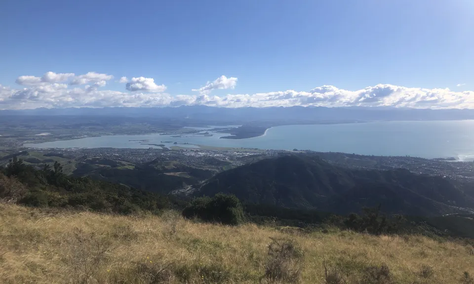 Brook - Fringed Hill - 3rd House return, Nelson