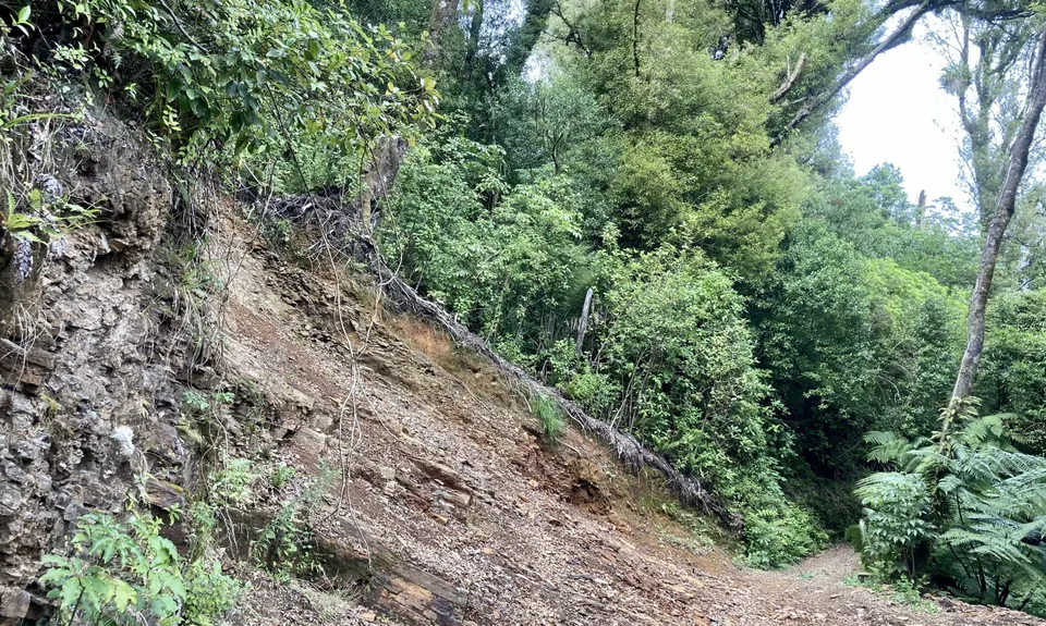 Maungatautari Sanctuary Mountain, Waikato