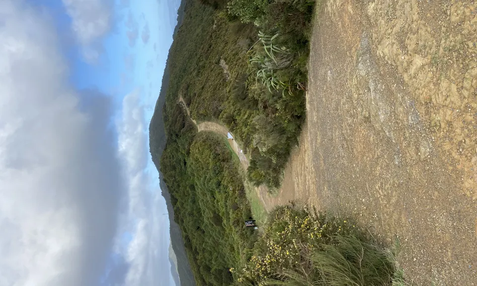 Waddington Loop of Wander, Wellington