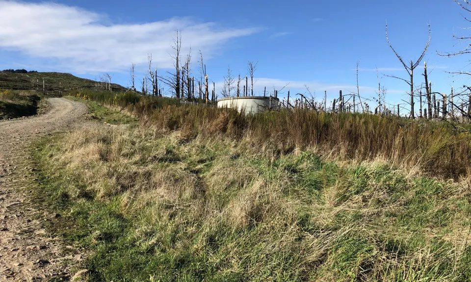 The Gorsetrack Strikes Back, Canterbury
