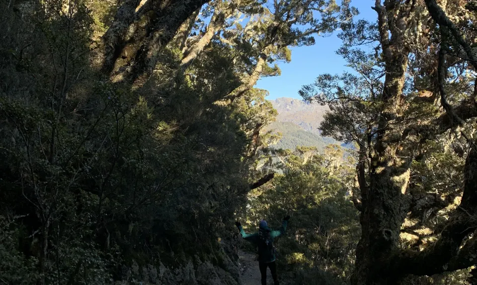 Kepler Track, Southland