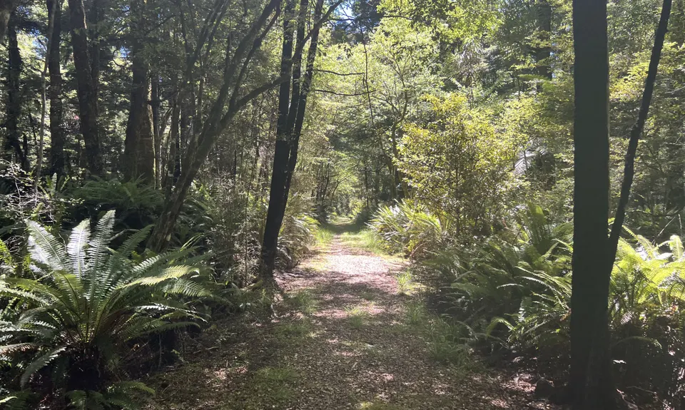 Hello Rotoroa, Tasman