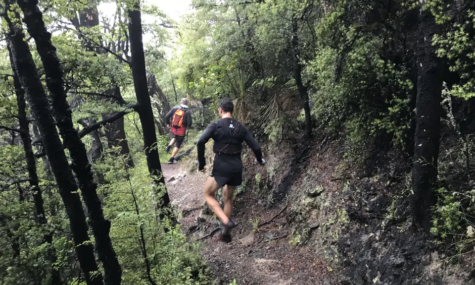 Mt Grey, Canterbury