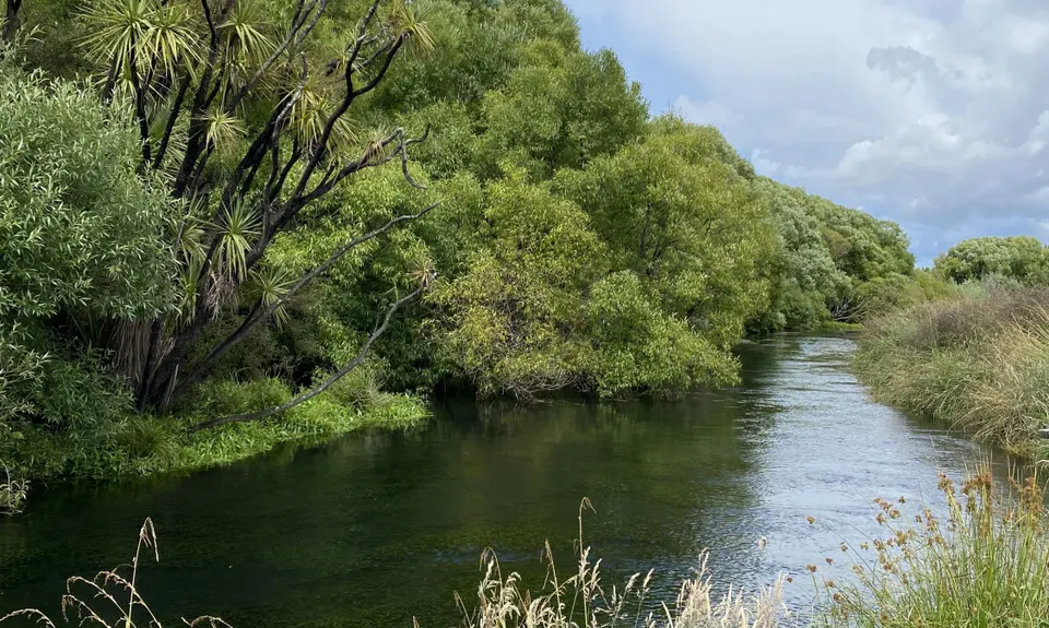 Lagoon-a-Seeker, Marlborough