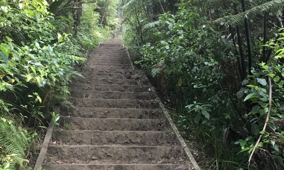 Puke Ariki (Point View Reserve), Auckland