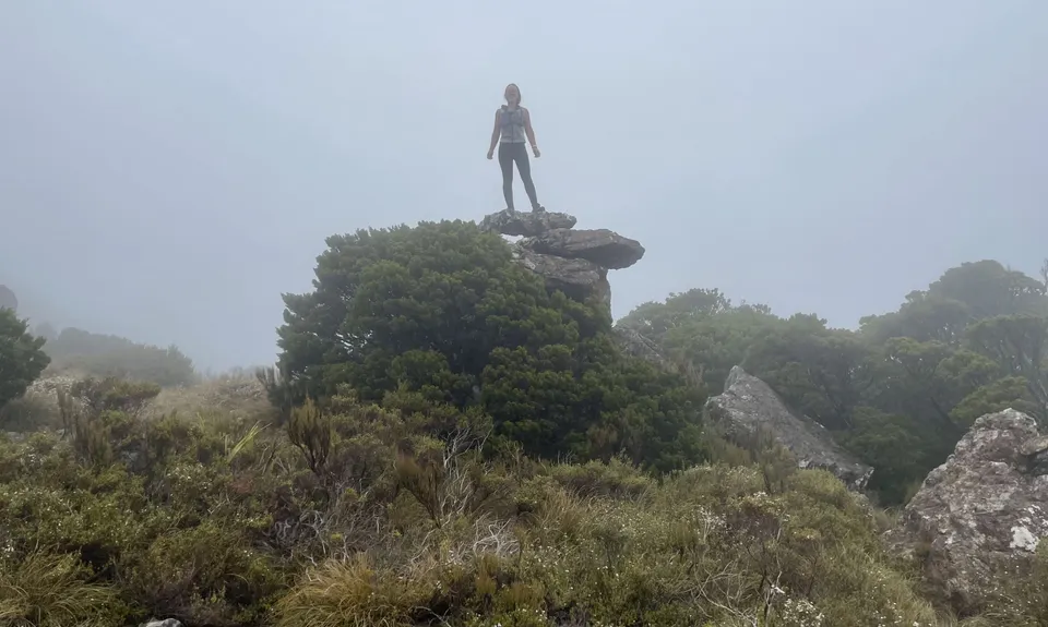 Pelorus Loop Track , Marlborough