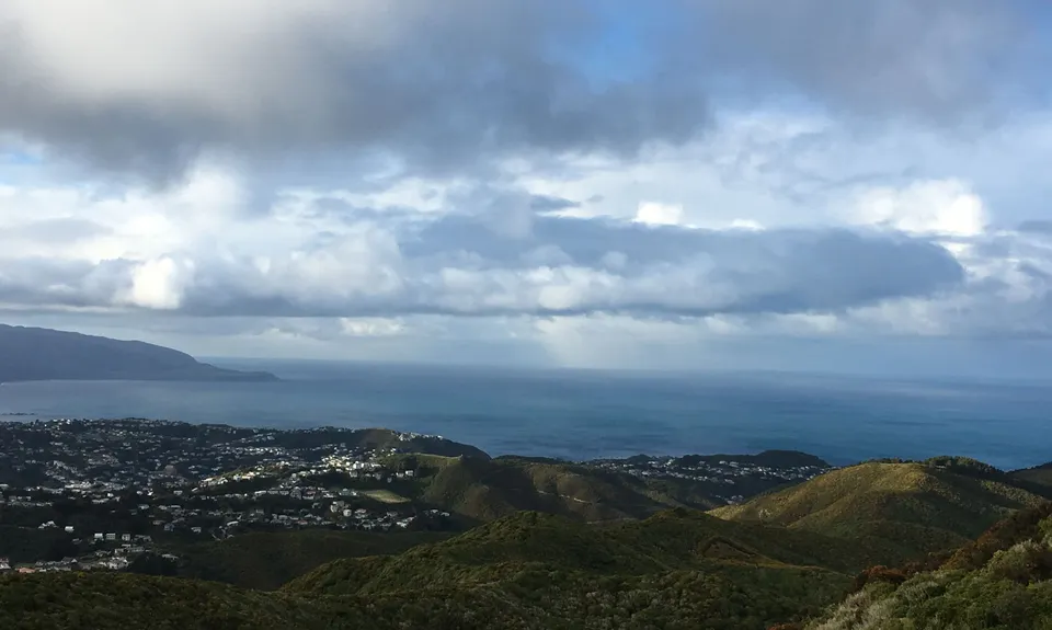 Barking Mad on Barking Emu, Wellington