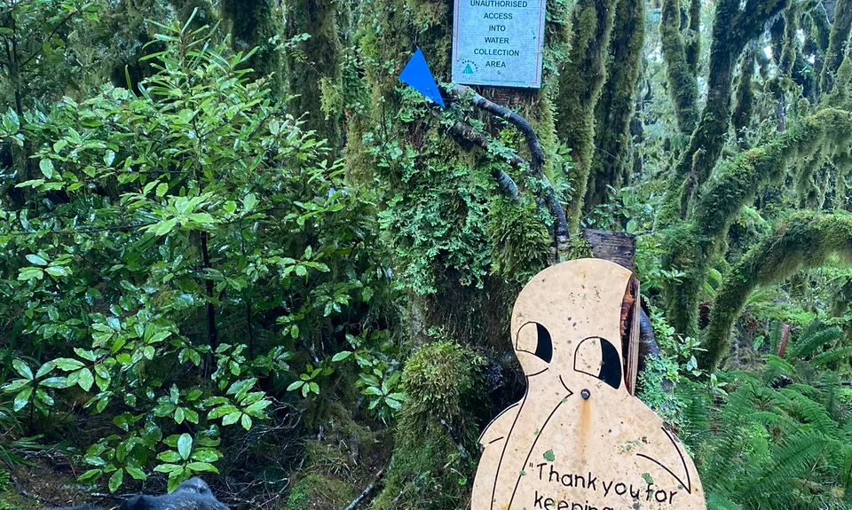 East Whakanui loop, Wellington