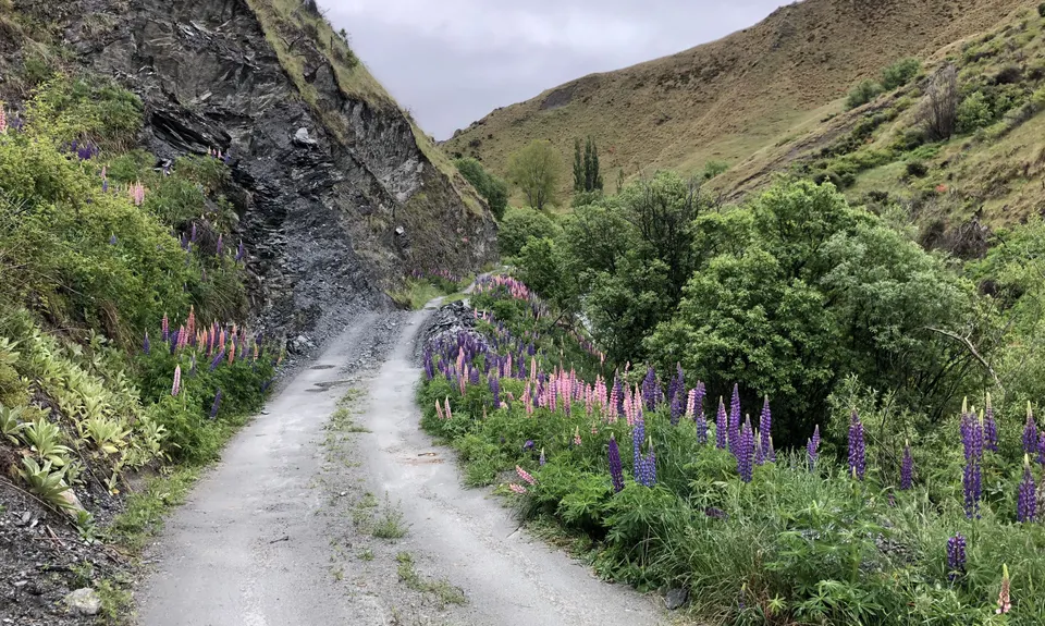 Macetown, Otago