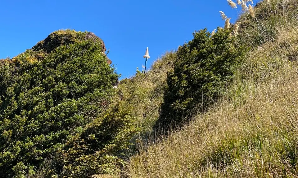 Kaimai Ridgeway, Waikato