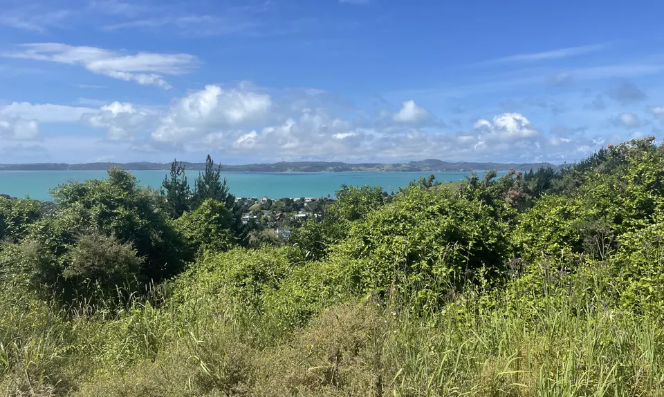 Not my left eye, it's Maraetai!, Auckland
