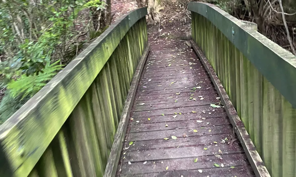 Waikowhai Stairs, Bush & Beach, Auckland