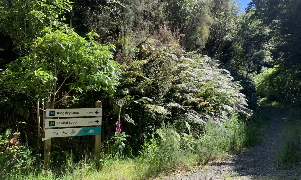 Fairy House Loop, Wellington