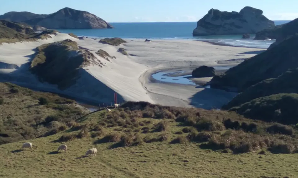 Cape Farewell , Tasman