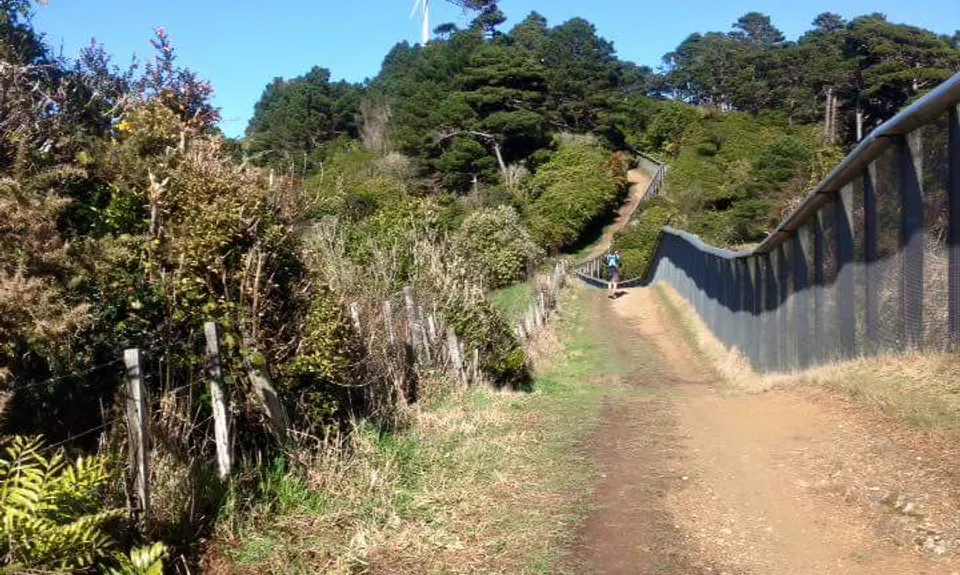 Sanctuary Fenceline, Wellington