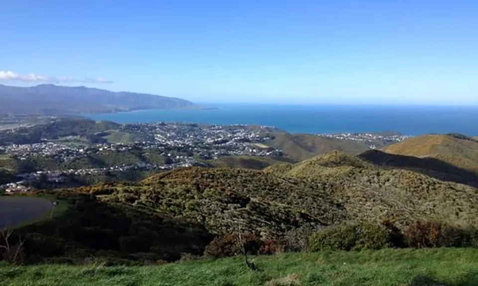 Sanctuary Fenceline, Wellington