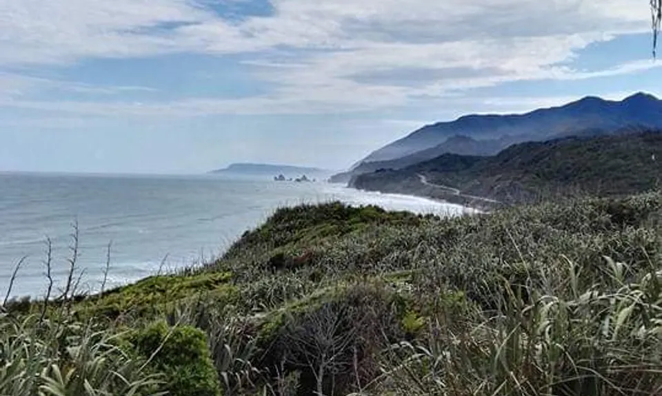 Point Elizabeth Track, West Coast
