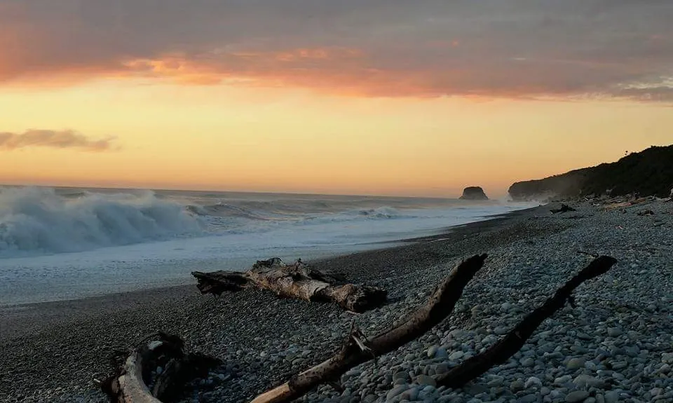 Point Elizabeth Track, West Coast