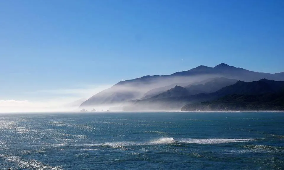 Point Elizabeth Track, West Coast