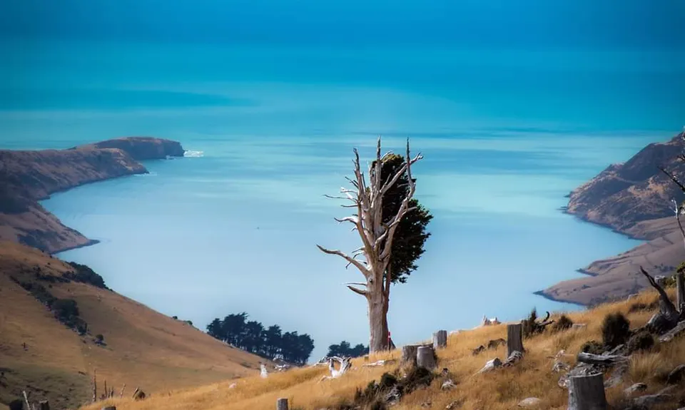 Summit Walkway, Canterbury