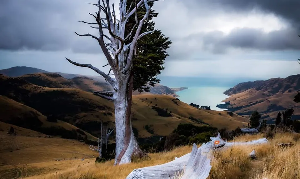 Banks Peninsula Ultra Beer Run, Canterbury