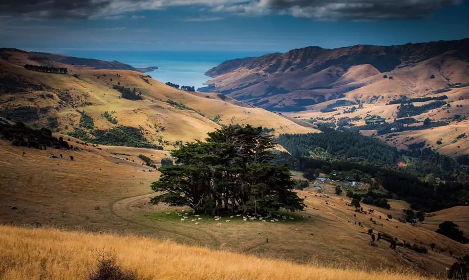 Banks Peninsula Ultra Beer Run, Canterbury