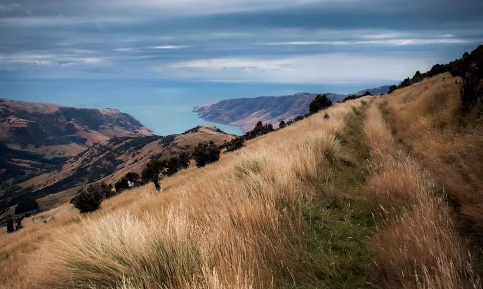 Summit Walkway, Canterbury