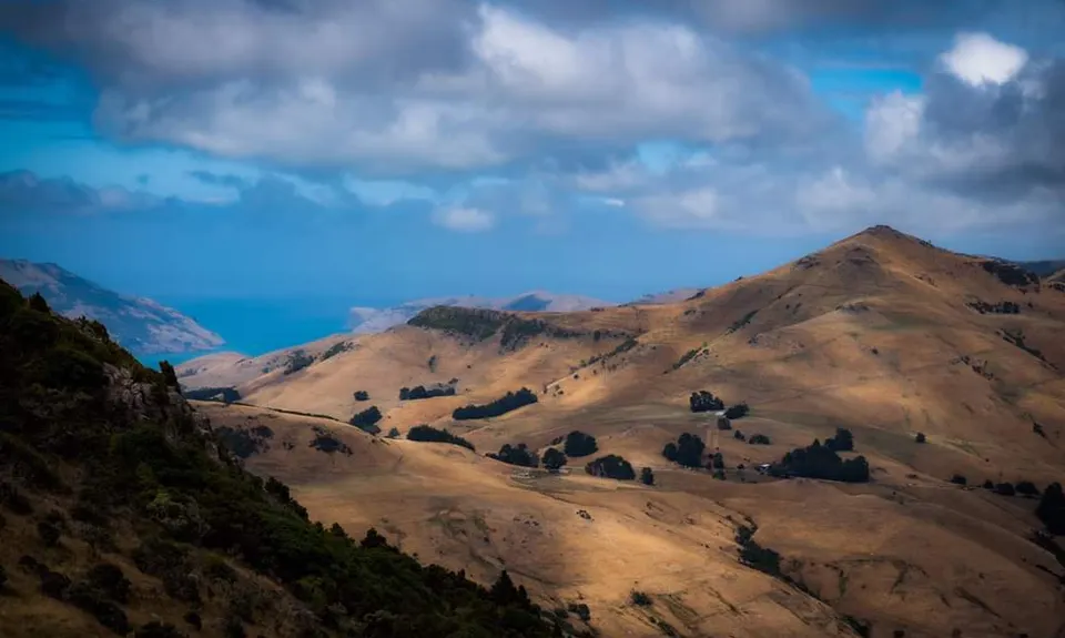 Banks Peninsula Ultra Beer Run, Canterbury