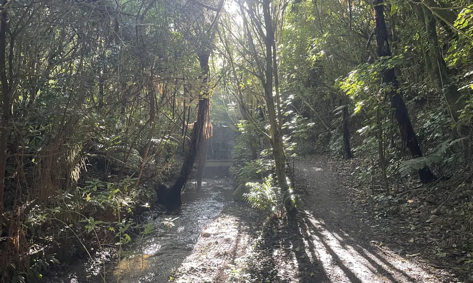 Linking the Reserves, Wellington