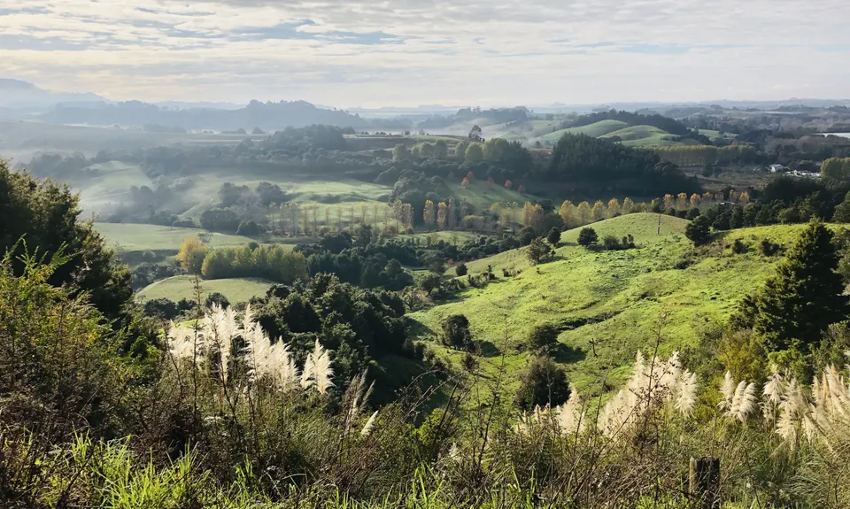 The Route of No Return - Puhoi to Dome Valley, Auckland