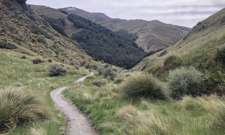 Bush Creek Banger and The Steiger!, Otago