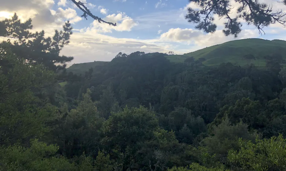 Harker Reserve to Vivian Falls, Waikato