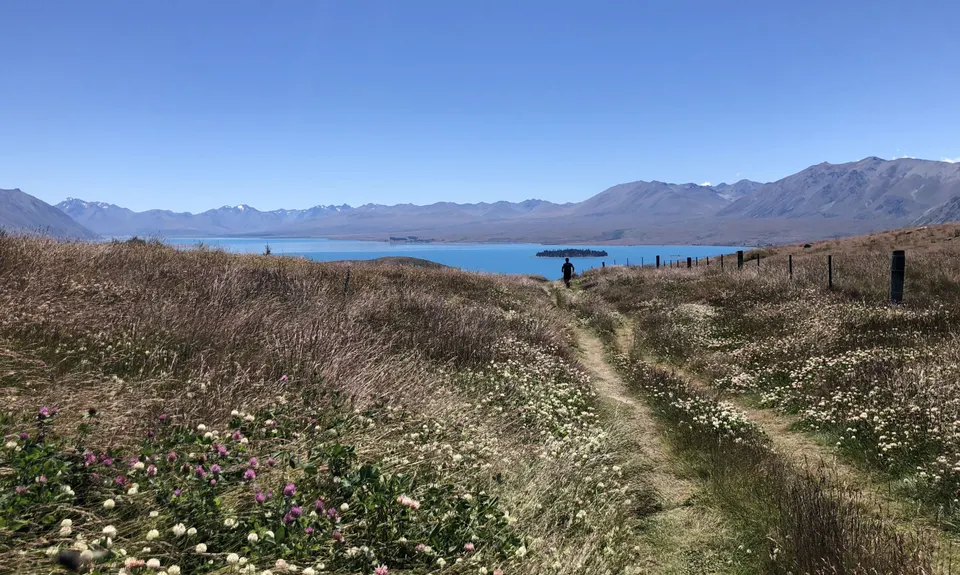 Mt John - Lake Tekapo Loop, Canterbury