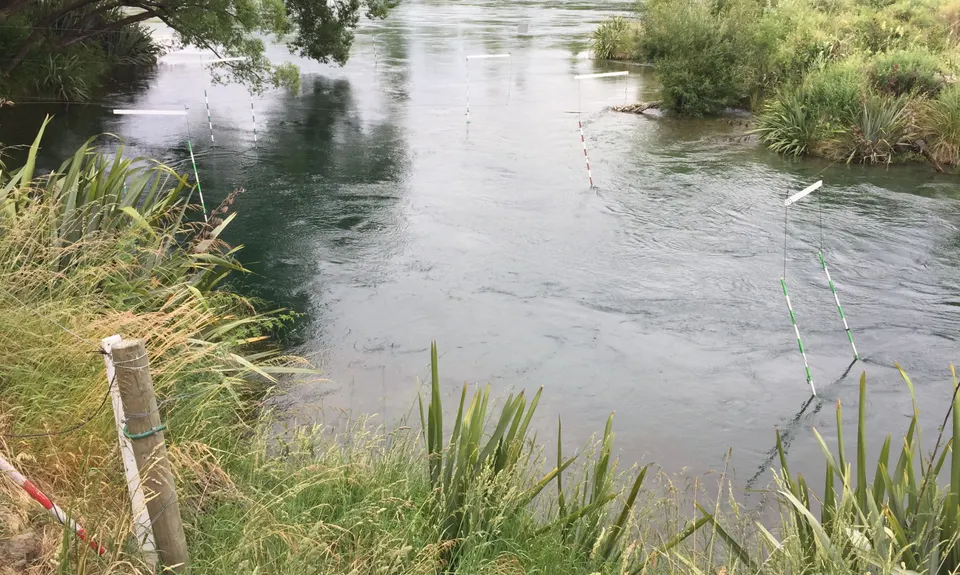 Alex to Clyde... And Back!, Otago