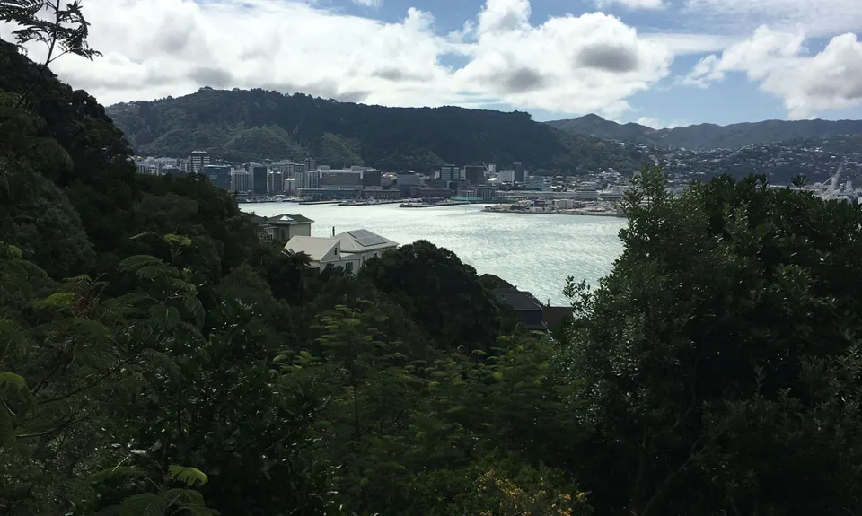 Southern Walkway, Wellington